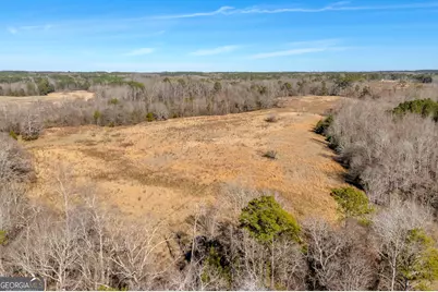 1681 Sibley School Road, Greensboro, GA 30642 - Photo 22