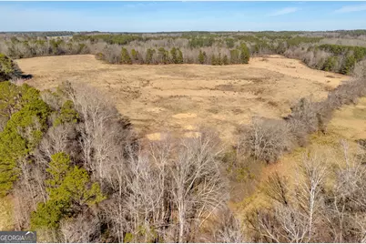 1681 Sibley School Road, Greensboro, GA 30642 - Photo 18