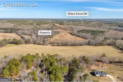 1681 Sibley School Road, Greensboro, GA 30642 - Photo 10