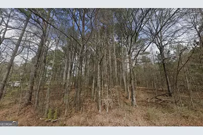 Tbd Prior Station Road, Cedartown, GA 30125 - Photo 1