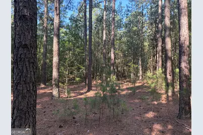 41 Elton Stewart Road, Carlton, GA 30627 - Photo 10