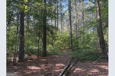 41 Elton Stewart Road, Carlton, GA 30627 - Photo 2