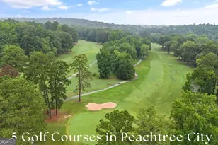 1235 Hayes Sq, Peachtree City, GA 30269 - Photo 38