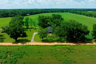 1034 Cecil Tyre Rd, Bristol, GA 31518 - Photo 58