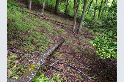 Lot 71 Chicory Drive W, Blairsville, GA 30512 - Photo 8