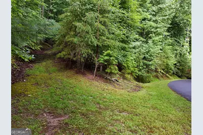 Lot 71 Chicory Drive W, Blairsville, GA 30512 - Photo 6