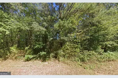890 Joe Stephens Road, Franklin, GA 30217 - Photo 2