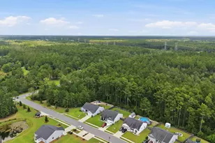 203 Timberlake Dr, Guyton, GA 31312 - Photo 42