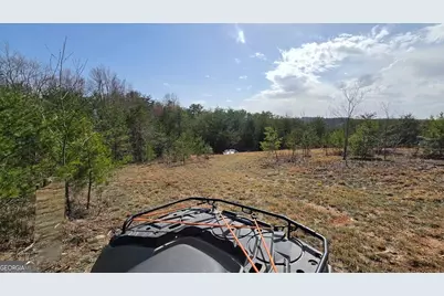 1354 Pine Ridge Road, Clarkesville, GA 30523 - Photo 22