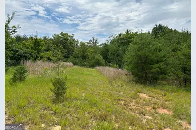 1354 Pine Ridge Road, Clarkesville, GA 30523 - Photo 14