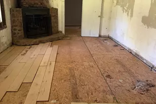 269 Perry Ln, Buchanan, GA 30113 - Photo 4
