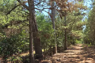 3557 Old Monroe Madison Hwy, Madison, GA 30650 - Photo 24