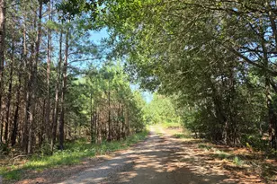 3557 Old Monroe Madison Hwy, Madison, GA 30650 - Photo 20