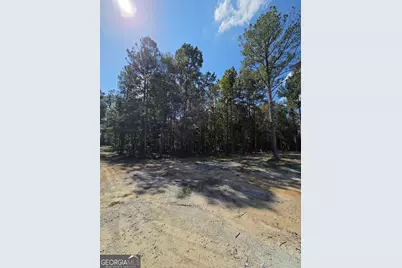 4606 Jackie Drive, Millen, GA 30442 - Photo 28