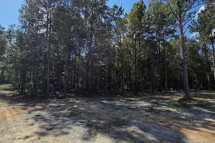 4606 Jackie Drive, Millen, GA 30442 - Photo 28