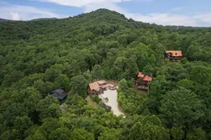 115 Necowa Cove Overlook, Blue Ridge, GA 30513 - Photo 58