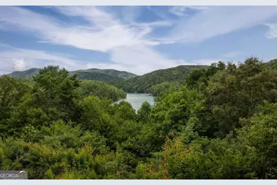 115 Necowa Cove Overlook, Blue Ridge, GA 30513 - Photo 48