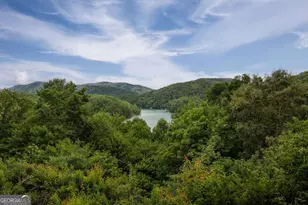 115 Necowa Cove Overlook, Blue Ridge, GA 30513 - Photo 48