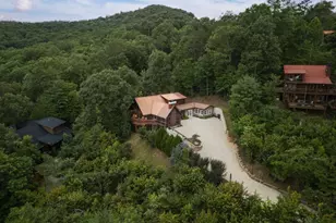 115 Necowa Cove Overlook, Blue Ridge, GA 30513 - Photo 56