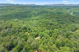 92 Bamby Ln, Ellijay, GA 30540 - Photo 66
