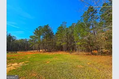 2001 Rocky Creek Road, Mansfield, GA 30055 - Photo 6