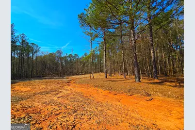 2001 Rocky Creek Road, Mansfield, GA 30055 - Photo 8