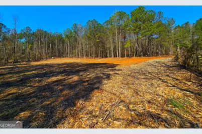2001 Rocky Creek Road, Mansfield, GA 30055 - Photo 10