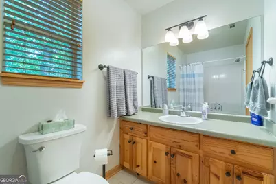146 Shady Laurel Drive, Sautee Nacoochee, GA 30571 - Photo 28