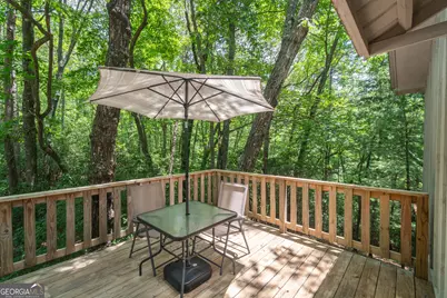 146 Shady Laurel Drive, Sautee Nacoochee, GA 30571 - Photo 30