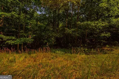 0 Old Cherokee Way, Dawsonville, GA 30534 - Photo 8