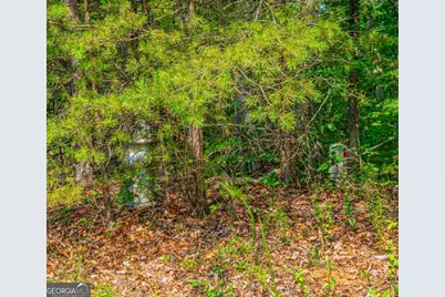 0 Old Cherokee Way, Dawsonville, GA 30534 - Photo 20
