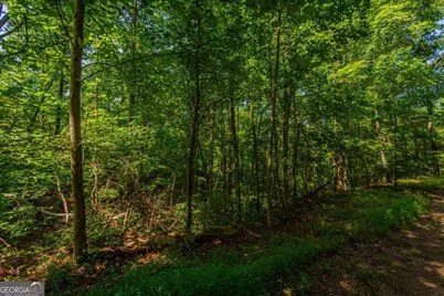 0 Old Cherokee Way, Dawsonville, GA 30534 - Photo 32