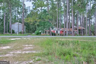 4421 Albert Rahn Rd, Glennville, GA 30427 - Photo 2