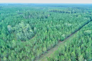 4421 Albert Rahn Rd, Glennville, GA 30427 - Photo 8