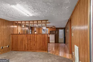 4421 Albert Rahn Rd, Glennville, GA 30427 - Photo 8