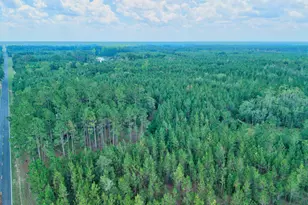 4421 Albert Rahn Rd, Glennville, GA 30427 - Photo 4