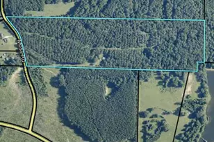 2135 Moss Rd, Gay, GA 30218 - Photo 1