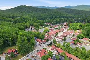 8 Waldheim Strasse St, Helen, GA 30545 - Photo 48