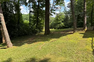 8 Waldheim Strasse St, Helen, GA 30545 - Photo 26