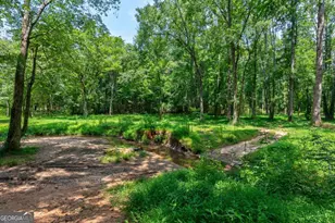 361 Meyer Farm Rd, Winterville, GA 30683 - Photo 36