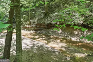 1603 Hwy 63, Homer, GA 30547 - Photo 54