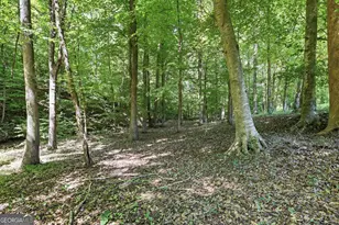 1603 Hwy 63, Homer, GA 30547 - Photo 52
