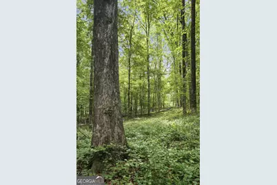 1504 Academy Church Road, Jefferson, GA 30549 - Photo 12