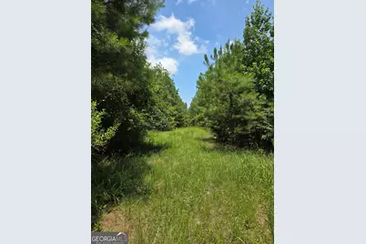 Tbd Ga Hwy 56 N, Waynesboro, GA 30830 - Photo 10