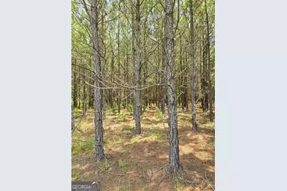 Tbd Ga Hwy 56 N, Waynesboro, GA 30830 - Photo 1