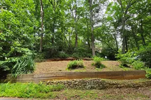 238 Magnificent Way, Cleveland, GA 30528 - Photo 1