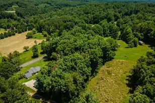 13224 Old Hwy 76, Morganton, GA 30560 - Photo 52