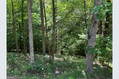 4.6 Ac Cherry Grove, Ball Ground, GA 30107 - Photo 2
