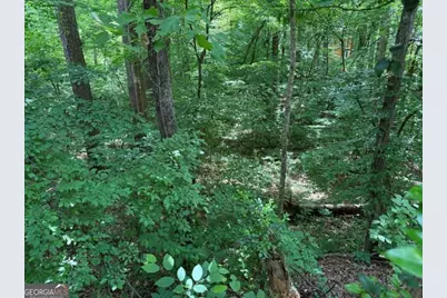 Lot 10 Brookhollow Drive, Canton, GA 30114 - Photo 2