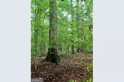 0 Highway 42 S #LOT 1, Forsyth, GA 31029 - Photo 14